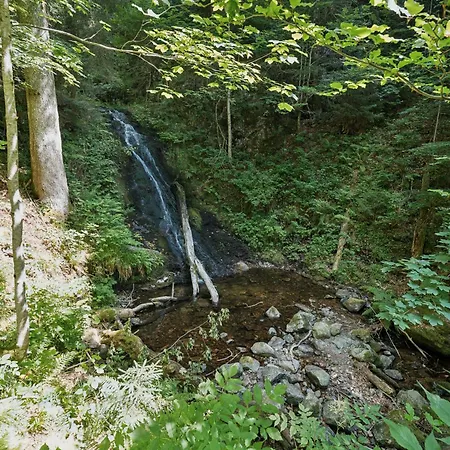 Fichtenhof Am Wasserfall *