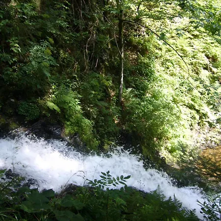 Fichtenhof Am Wasserfall Todtmoos